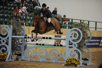 Lancashire Showjumper Danielle Ryder claims the Blue Chip Karma Performance as her own
